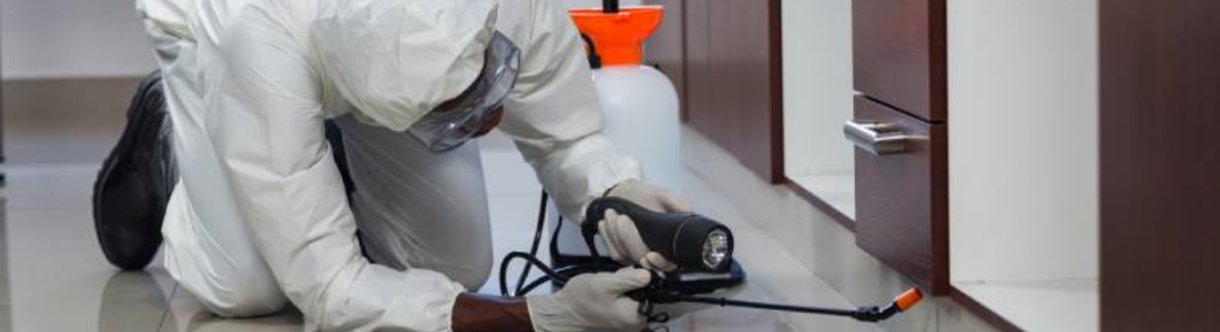 Dedetização Industrial 24 HORAS